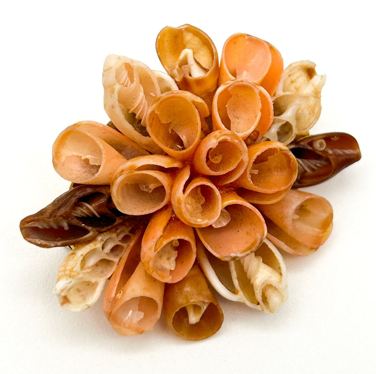 Vintage Shell Flower Brooch in Peach & Cream Tones Beach Natural Floral