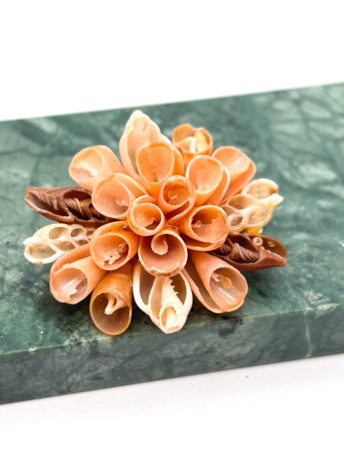 Vintage Shell Flower Brooch in Peach & Cream Tones Beach Natural Floral