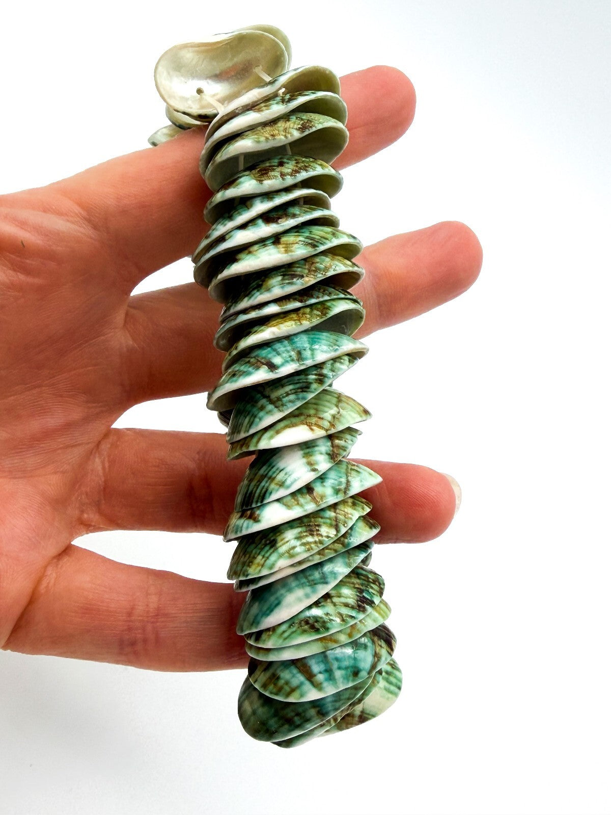 Green Dyed Shell Stretch Bracelet Natural Statement Boho Beach Jewellery