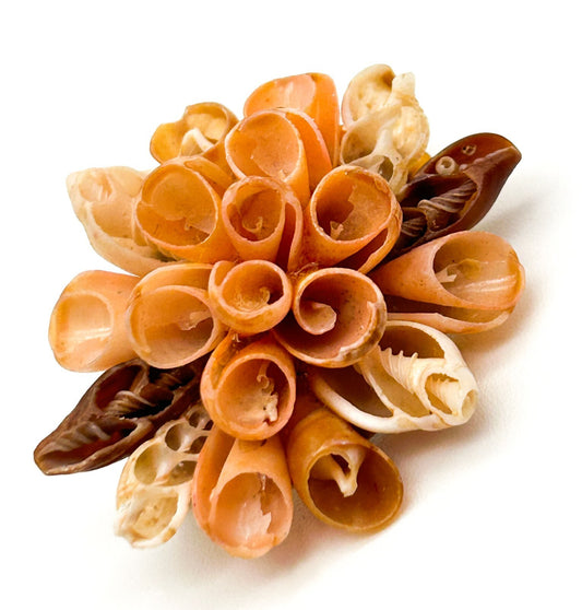 Vintage Shell Flower Brooch in Peach & Cream Tones Beach Natural Floral